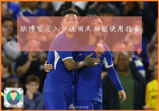 欧博官方入口说明及功能使用指南