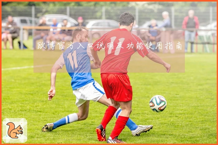 欧博官方入口说明及功能使用指南